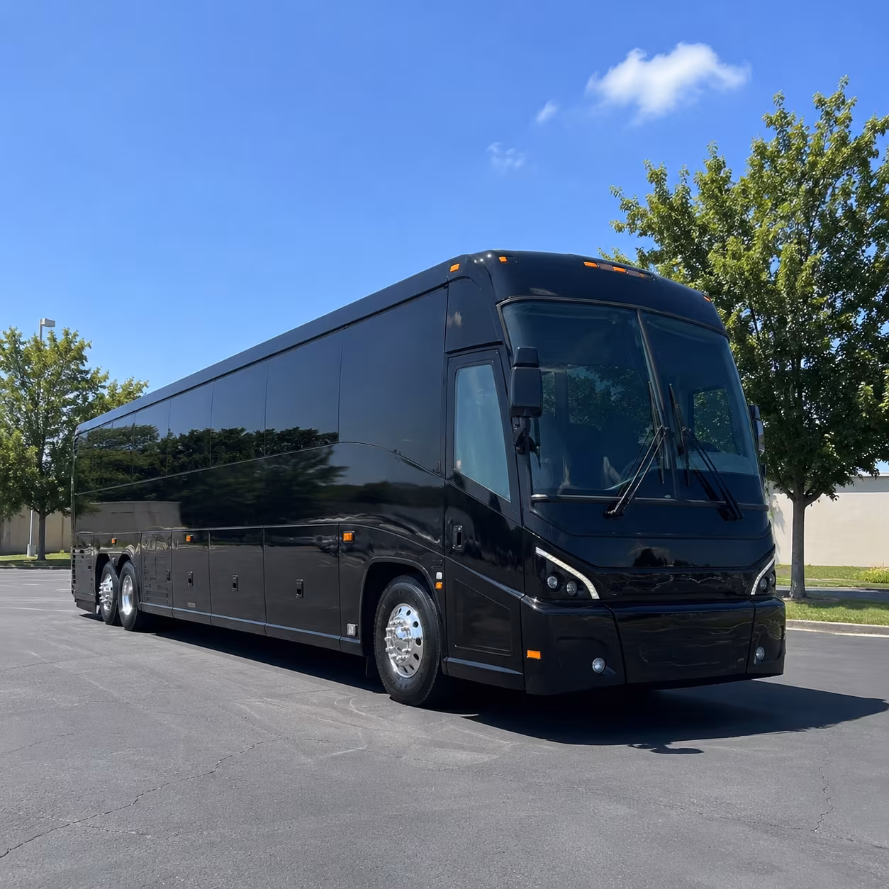albany 56 passenger charter bus