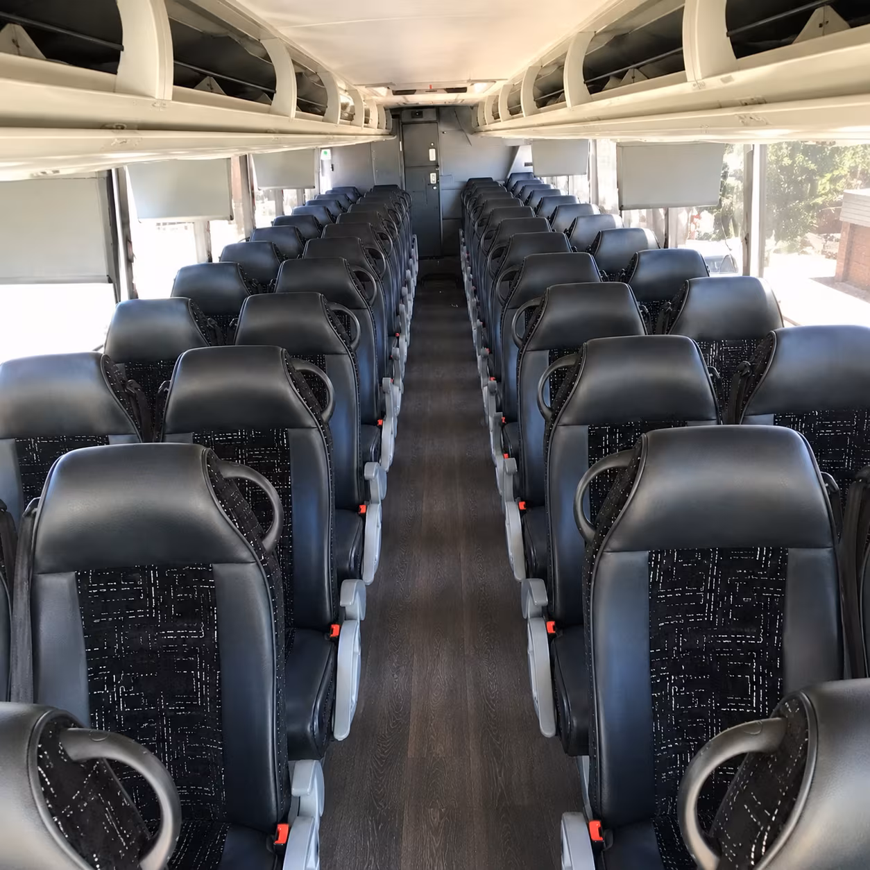 albany bachelor bachelorette transportation