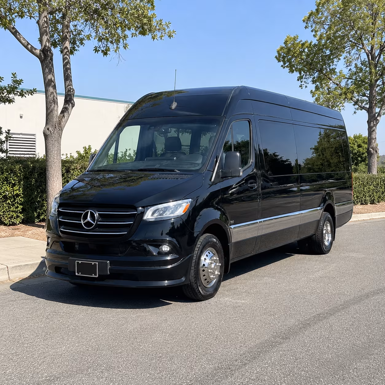 albany sprinter van with driver